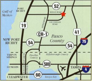 11400 Ridge Rd, New Port Richey, FL 34654